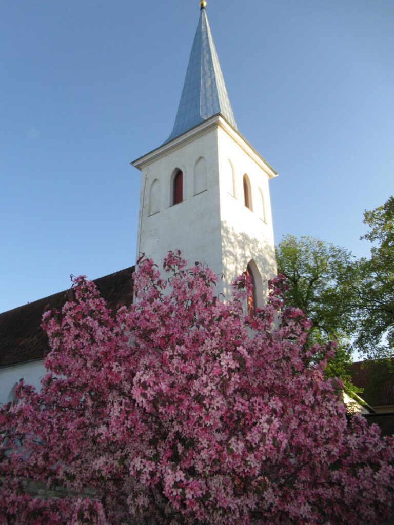 Haapsalu Jaani kirik 1