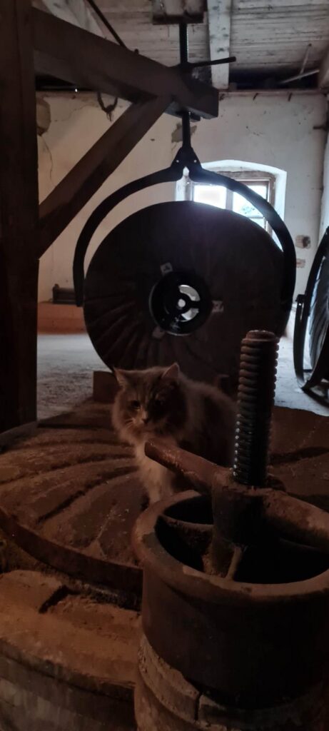 Hellenurme vesiveski kivi