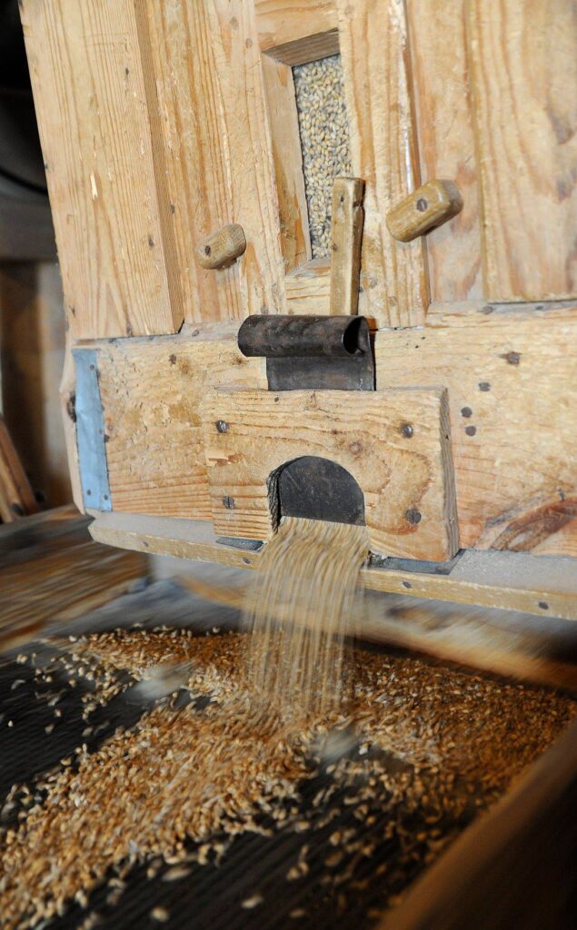 Hellenurme vesiveski, terad sõkaldest